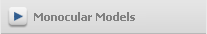 Monocular Models